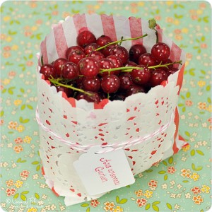 Candy Bags